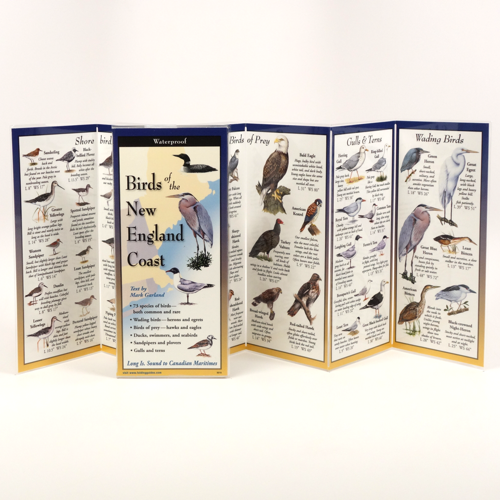 Birds of the New England Coast - Multi-Fold Field Guide