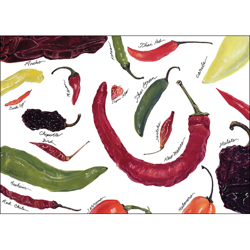 Assorted Greeting Cards by Earth Sky + Water