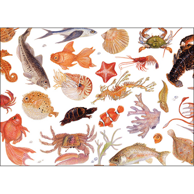 Assorted Greeting Cards by Earth Sky + Water