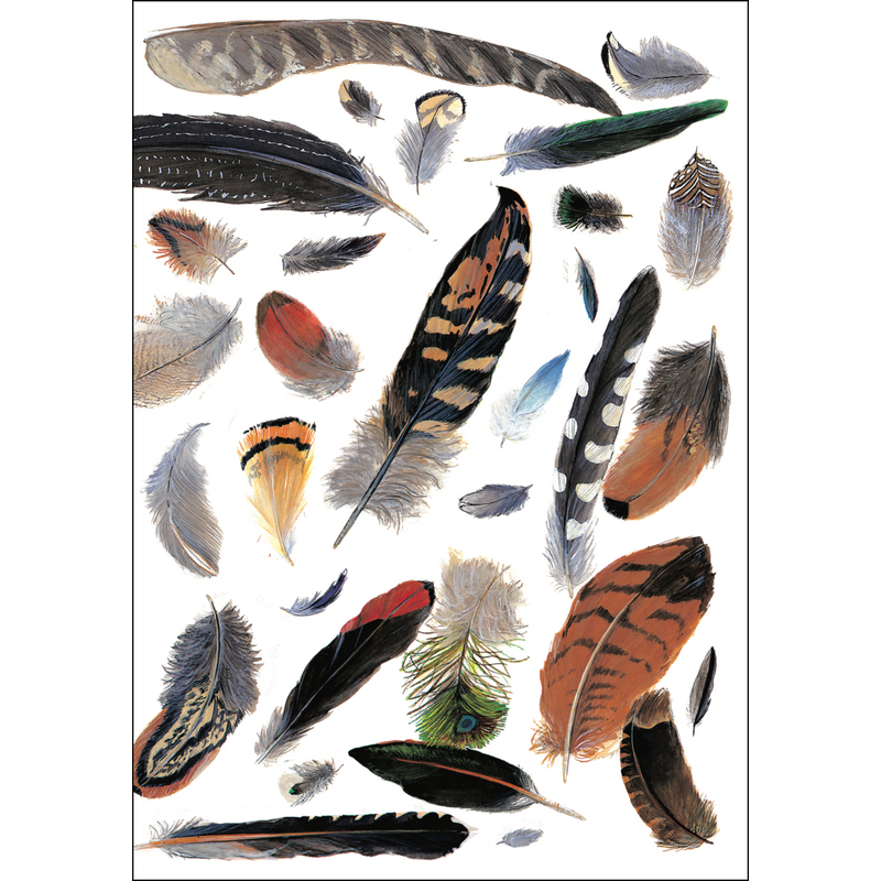 Assorted Greeting Cards by Earth Sky + Water