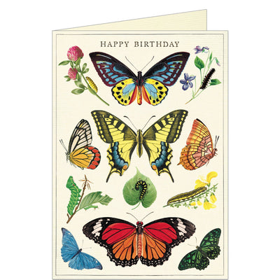 Assorted Greeting Cards by Cavallini