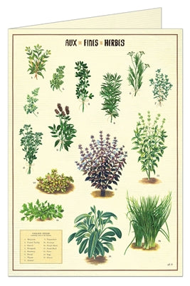 Assorted Greeting Cards by Cavallini