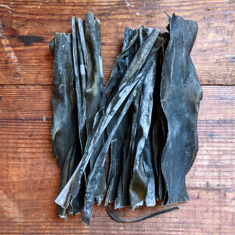 Kombu (Laminaria digitata) Dried Maine Kelp Seaweed