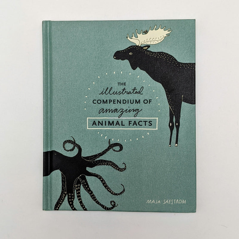 The Illustrated Compendium of Amazing Animal Facts Picture Book by Maja Säfström