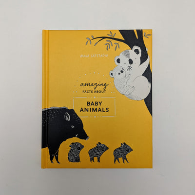 Amazing Facts about Baby Animals Picture Book by Maja Safstrom