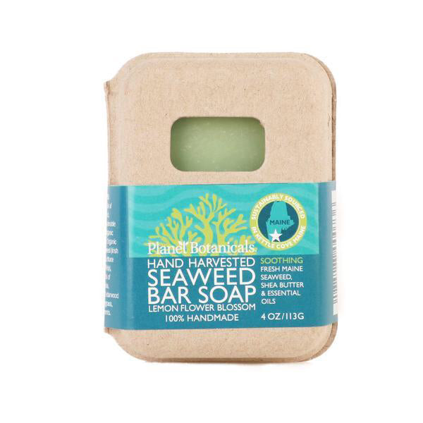 Seaweed Soap Bar · 4oz · Planet Botanicals