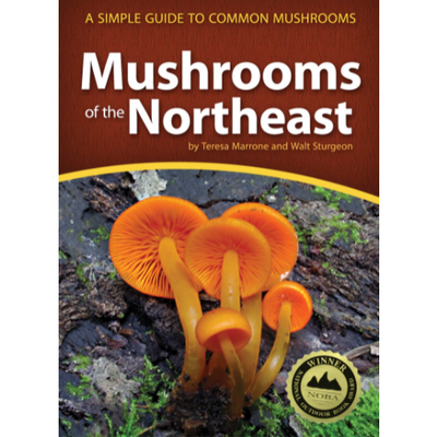 Mushrooms of the Northeast: A Simple Guide to Common Mushrooms