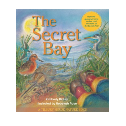 The Secret Bay by Kimberly Ridley (Author) and Rebekah Raye (Illustrator)