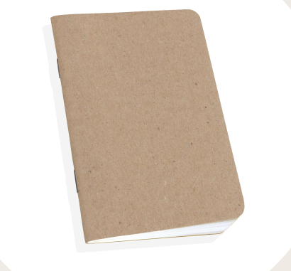 Pocket Size notebook · Scout Books