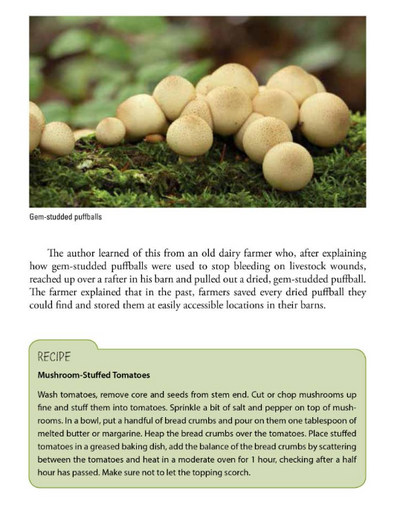 Foraging Mushrooms Maine: Finding, Identifying, and Preparing Edible Wild Mushrooms