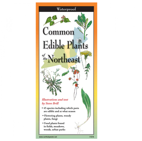 Common Edible Wild Plants of the Northeast - Multifold Field Guide ...