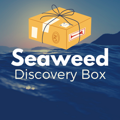 Seaweed Discovery Box