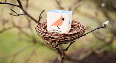 Birds · Wood Blocks