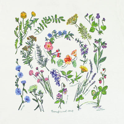 Beneficial Herbs Ladies White T-Shirt · Liberty Graphics