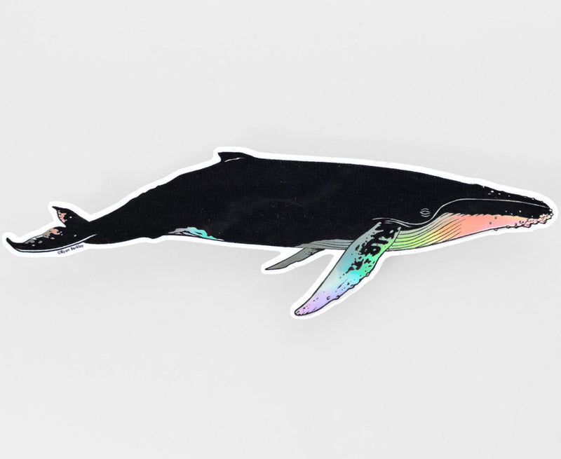 Humpback Whale Sticker