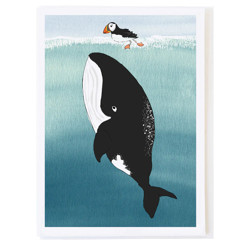 Assorted Greeting Cards by Molly O