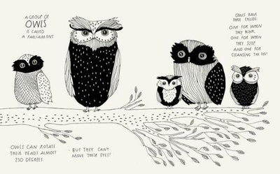 The Illustrated Compendium of Amazing Animal Facts Picture Book by Maja Säfström