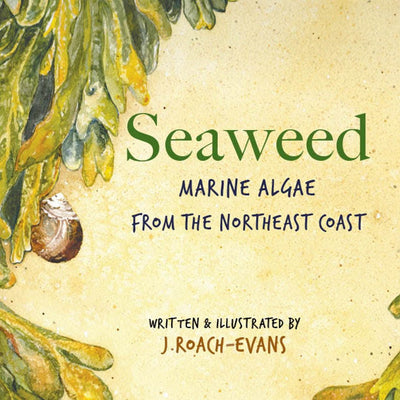 Seaweed: Marine Algae from the Northeast Coast · by Joanne Roach-Evans