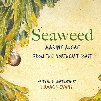 Seaweed: Marine Algae from the Northeast Coast · by Joanne Roach-Evans
