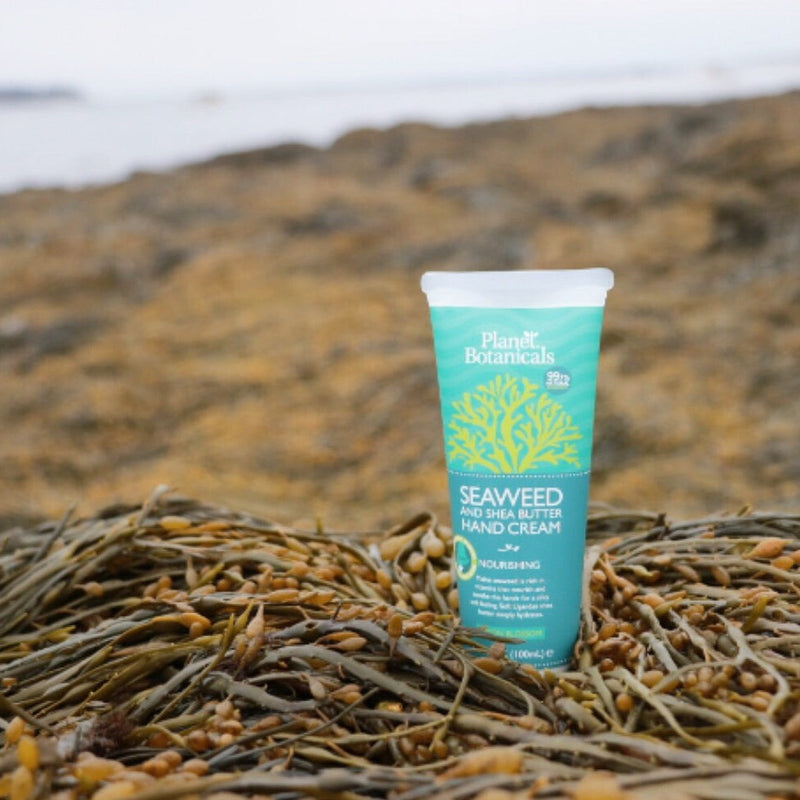 Seaweed Hand Cream · 4oz · Planet Botanicals