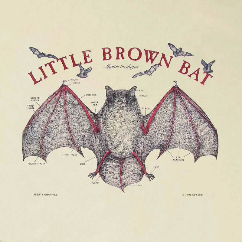 Little Brown Bat Adult Natural T-Shirt · Liberty Graphics