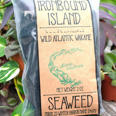 Wakame (Alaria esculenta) · 2oz · Ironbound Island Seaweed