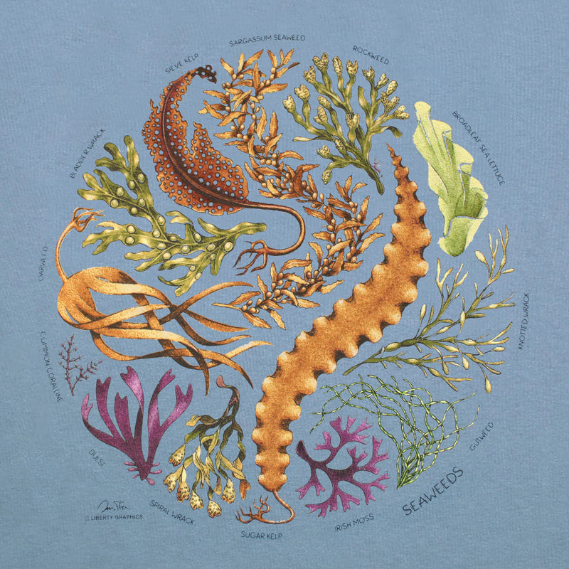 Seaweeds Adult T-Shirt in Stone Blue · Liberty Graphics