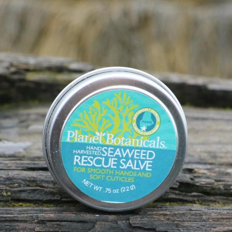 Seaweed Hand & Cuticle Rescue Salve .75oz Made in Maine by Planet Botanicals